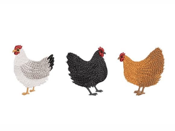 Three Chickens Embroidery Design Review